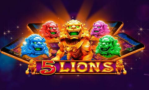 Screenshot website 5 Lions