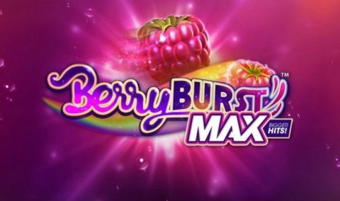 Screenshot website Berryburst Max