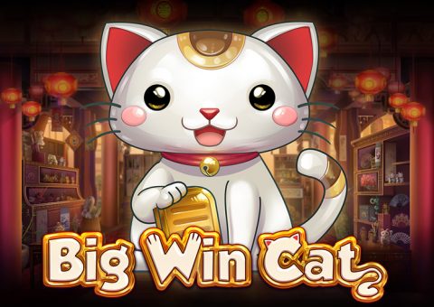 Big Win Cat
