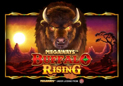 Buffalo Rising Megaways