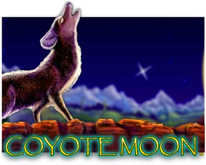 Coyote Moon