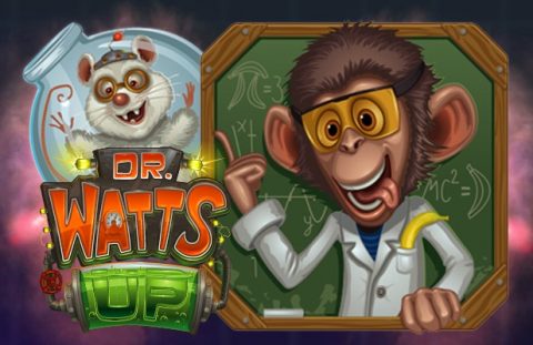 Dr Watts Up
