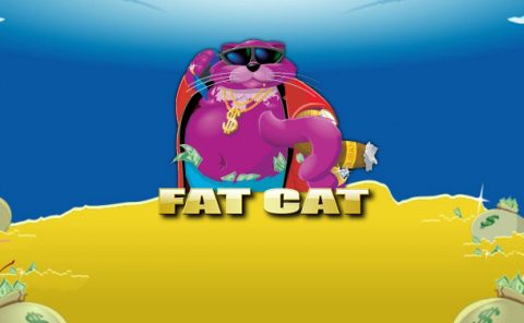 Fat Cat
