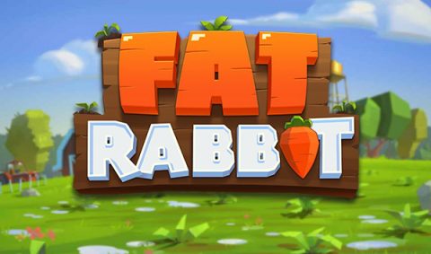 Fat Rabbit