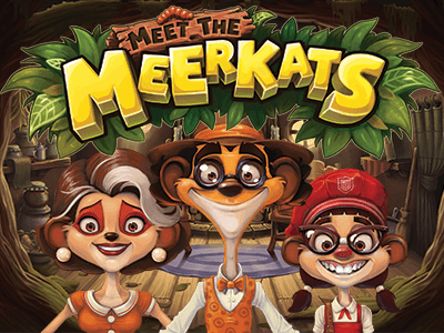 Screenshot website Meet the Meerkats