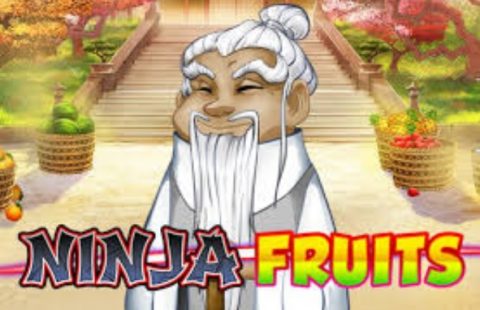 Screenshot website Ninja Fruits