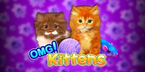 OMG! Kittens