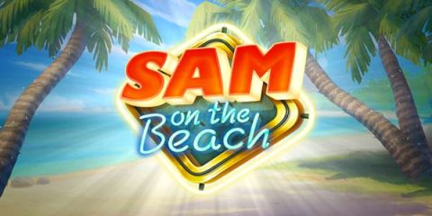 Sam on the Beach