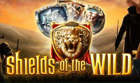 Screenshot website Shields of the Wild