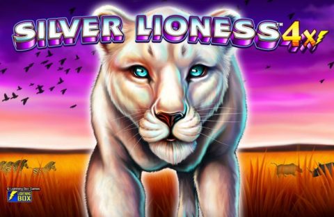 Silver Lioness