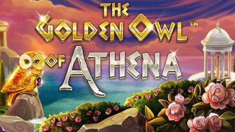 The Golden Owl of Athena