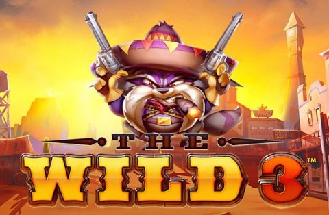 Screenshot website The Wild 3