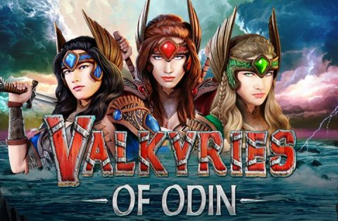 Screenshot website Valkyries of Odin