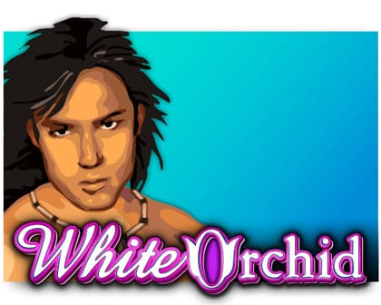 Screenshot website White Orchid