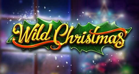 Screenshot website Wild Christmas