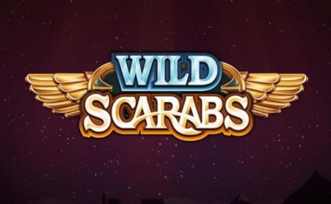 Wild Scarabs