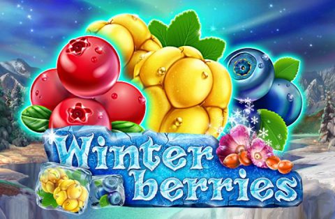 Screenshot website Winterberries
