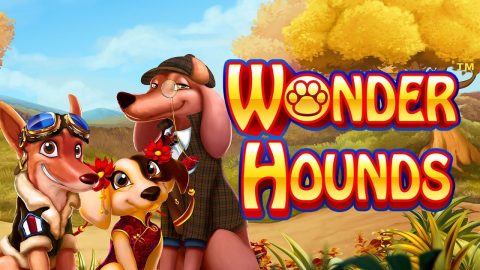 Screenshot website Wonder Hounds